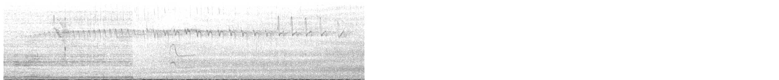 Wedge-tailed Hillstar - ML627754096