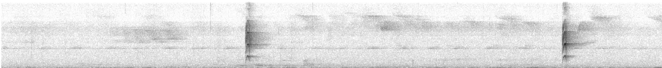 White-throated Spadebill - ML627754299