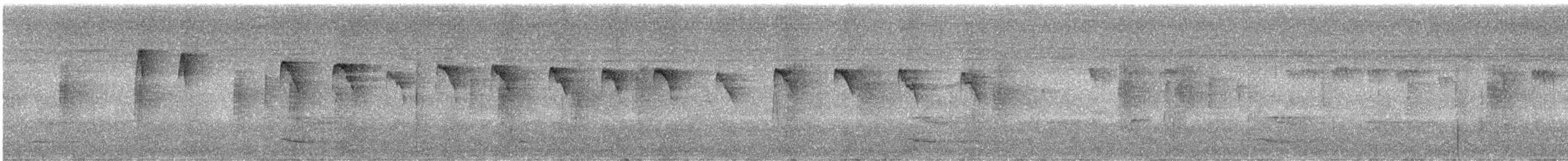 Checker-throated Stipplethroat - ML627755030