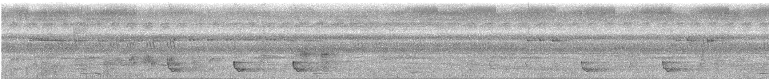 Large-tailed Nightjar - ML627755727