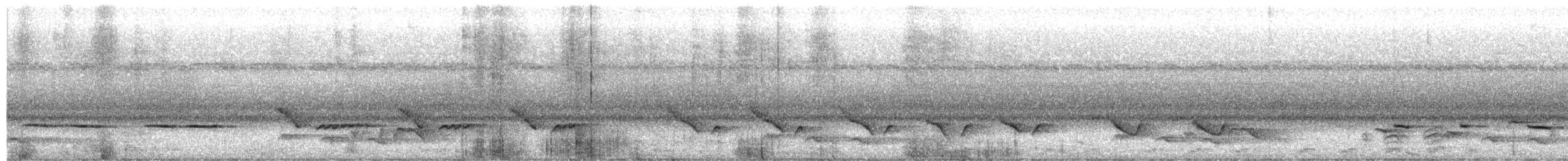 ヒガシハジロヤブコマドリ（quadrivirgata） - ML627761213