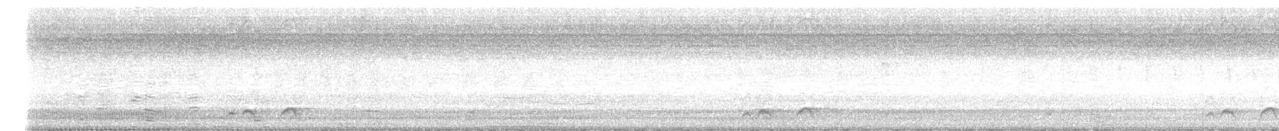 Elegant Pitta - ML627763059