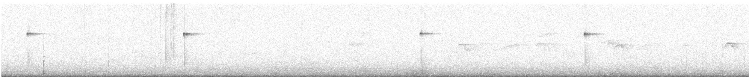 Caatinga Black-Tyrant - ML627763356