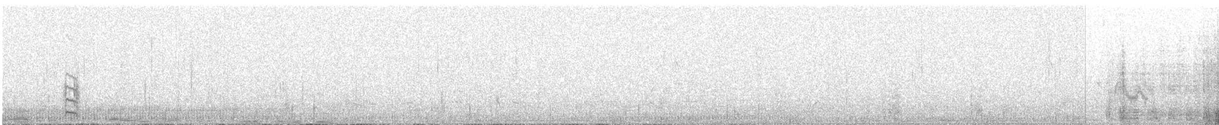 Egyptian Plover - ML627765770