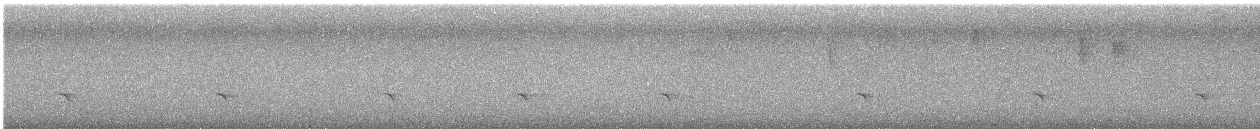 Guatemalan Tyrannulet - ML627770283