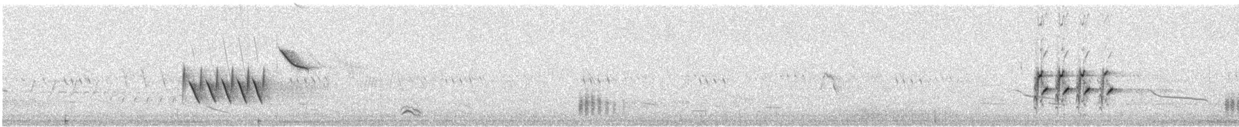 Spotted Towhee - ML627770996