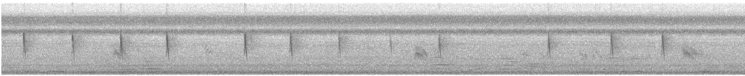 Northern/Mangrove Yellow Warbler - ML627773966