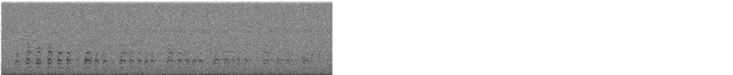 Bearded Woodpecker - ML627782107