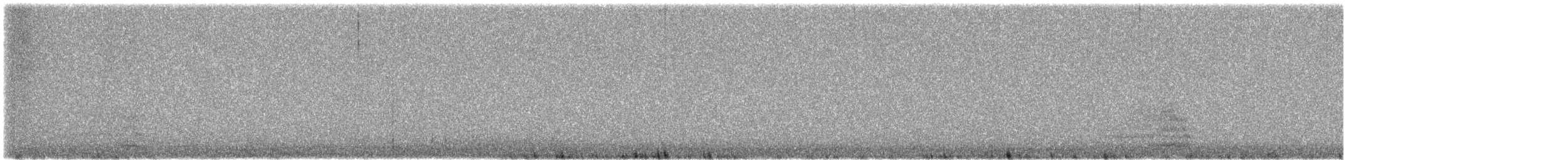 Hibou des marais (flammeus) - ML627783247