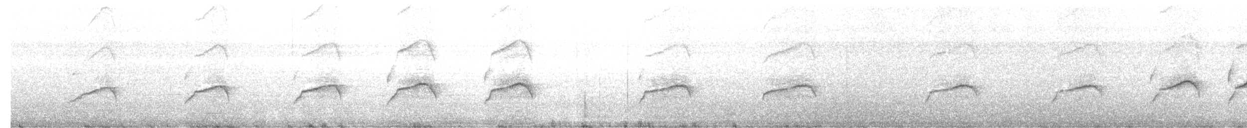 ヒメクロアジサシ - ML627785657