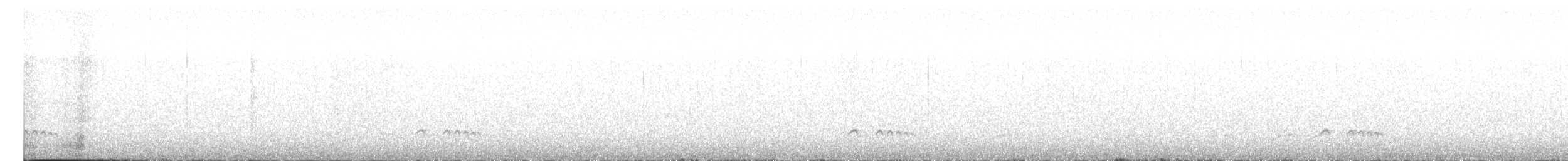 Chami Antpitta - ML627787673