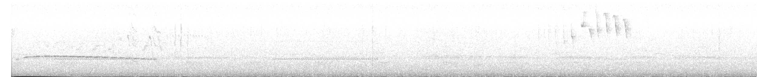 Slate-crowned Antpitta - ML627790683