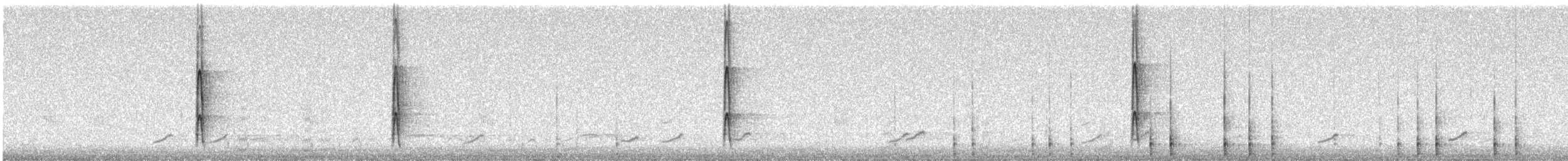 Ladder-backed Woodpecker - ML627792646
