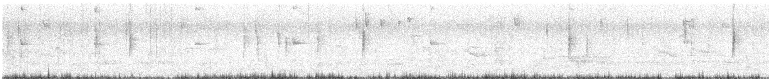 American Robin (migratorius Group) - ML627793268