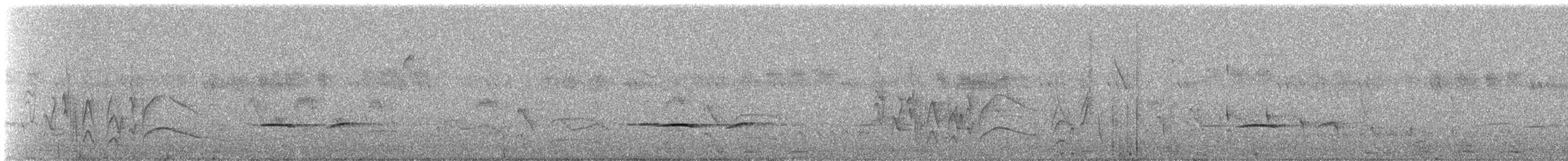 Tinamu sabelzuria - ML627801332