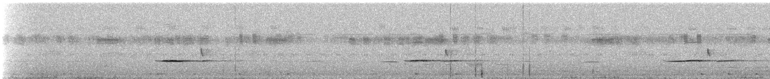 Tinamu sabelzuria - ML627801333