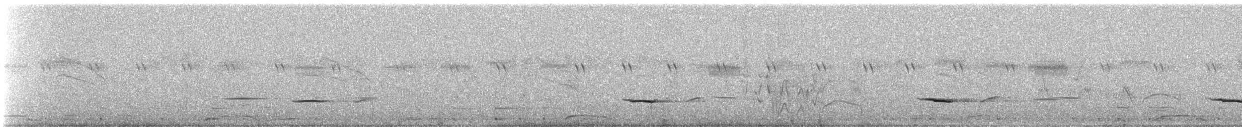 Tinamu sabelzuria - ML627801334