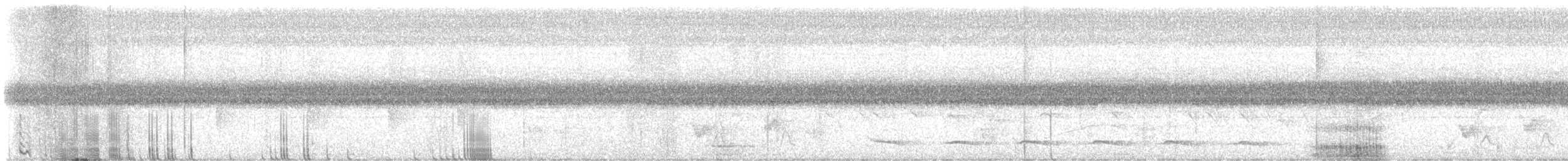 Atlantic Black-throated Trogon - ML627803013