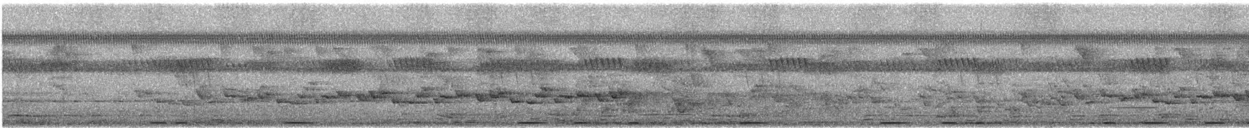 Gray Longbill - ML627803992