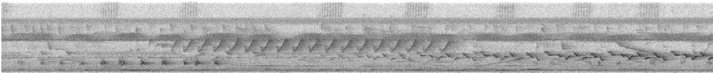 Gray Longbill - ML627803993