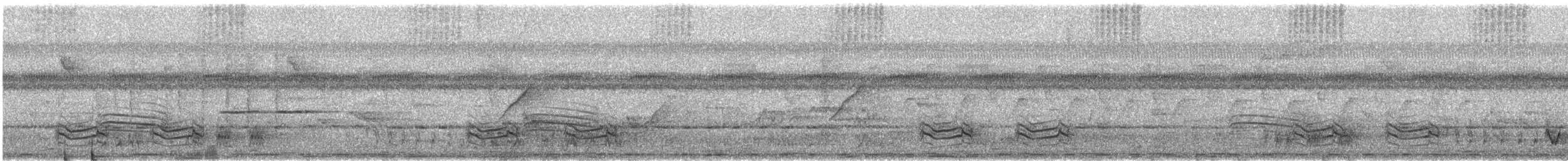 Yellow-browed Camaroptera - ML627803995