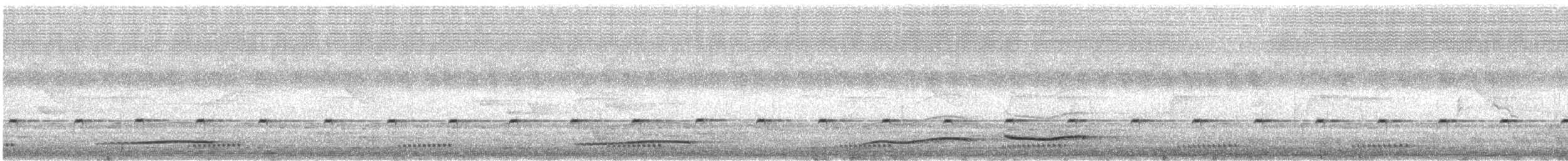 Finsch's Flycatcher-Thrush - ML627804058