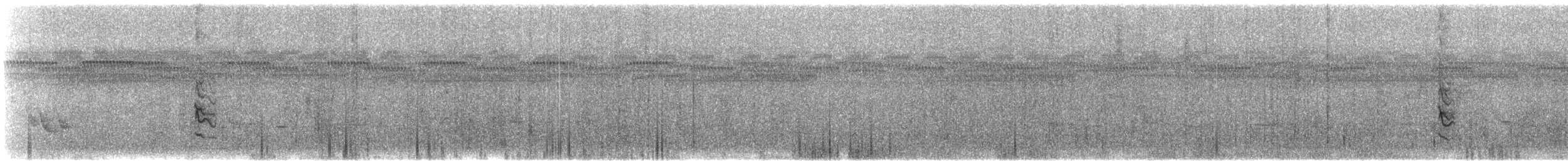 ミナミカワリヒメウソ（亜種 カケタヒメウソ） - ML627805739