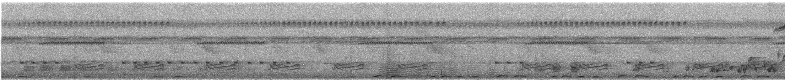 Yellow-browed Camaroptera - ML627806028