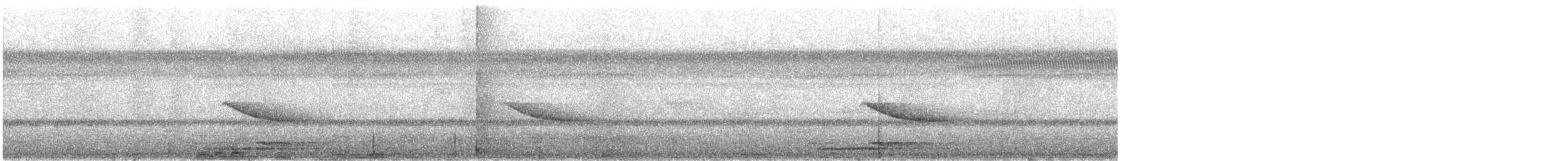 Weißschwanz-Fuchsdrossel - ML627807583