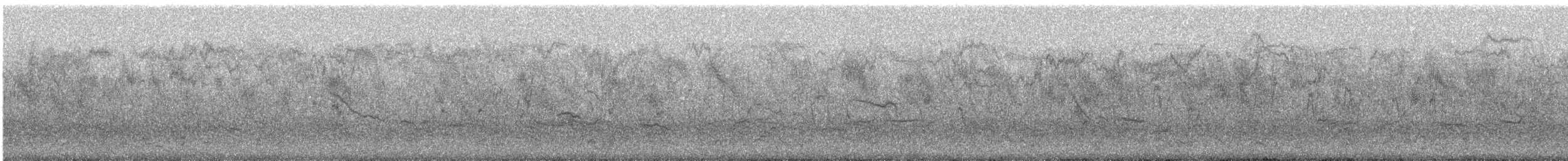 Star/Einfarbstar - ML627808004