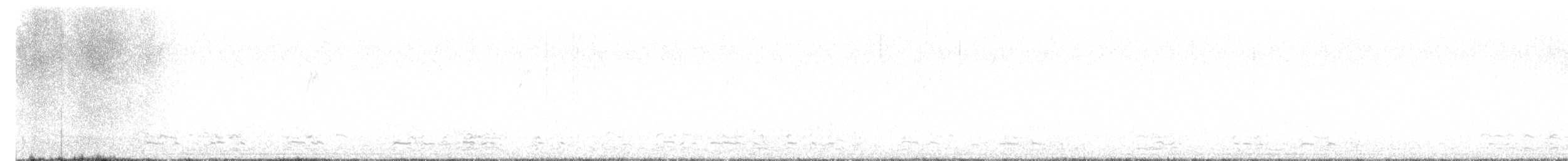 husa běločelá - ML627813804