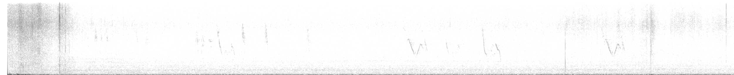 konipas bílý - ML627814132
