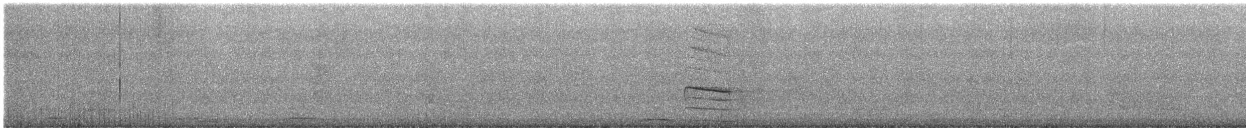 Tundra Swan - ML627819613
