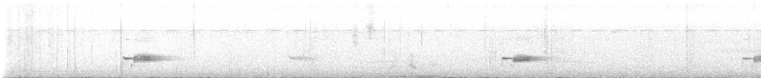 ムナジロモリミソサザイ - ML627824938