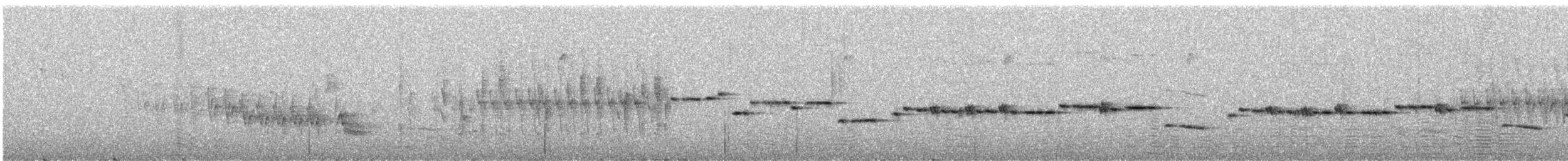 Gray Gerygone - ML627826990