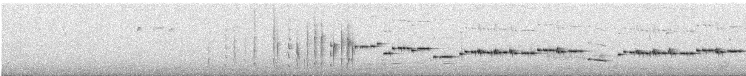 Gray Gerygone - ML627827619