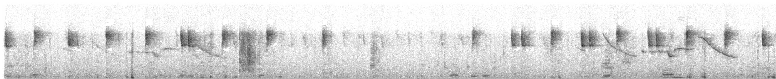 Lesser Violetear - ML627829937