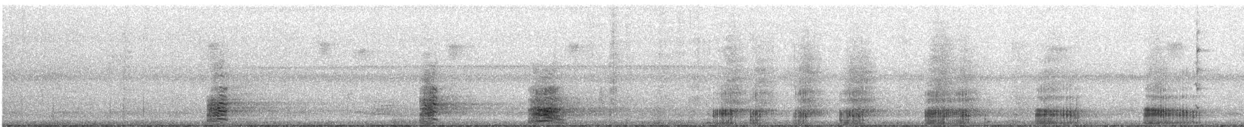 Büyük Ak Balıkçıl - ML627834984