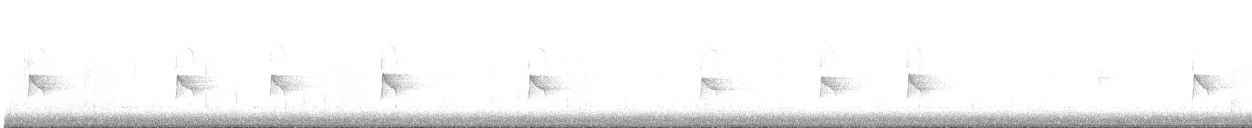 キバラメジロハエトリ - ML627836903