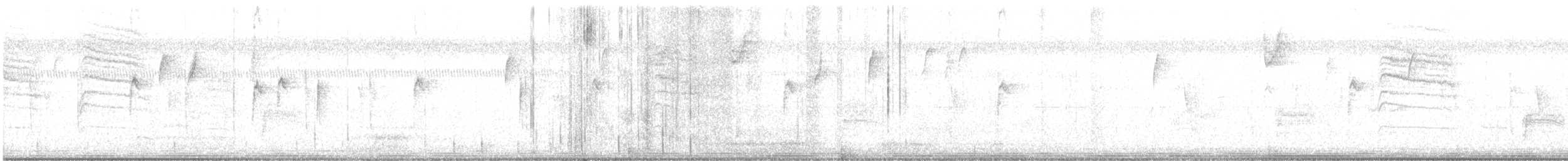 Bewick's Wren - ML627838870