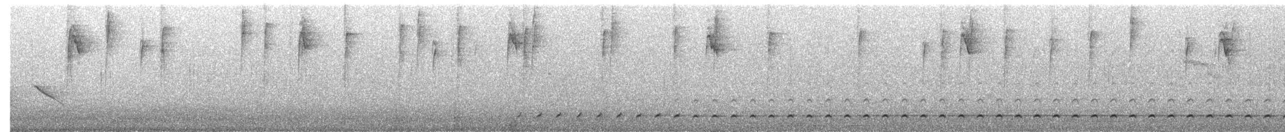 Mochuelo Peruano - ML627843664