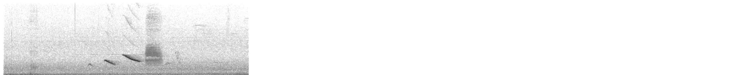 Pepitero Listado - ML627843696