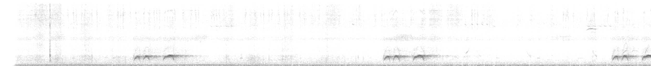 Elegant Pitta - ML627845547