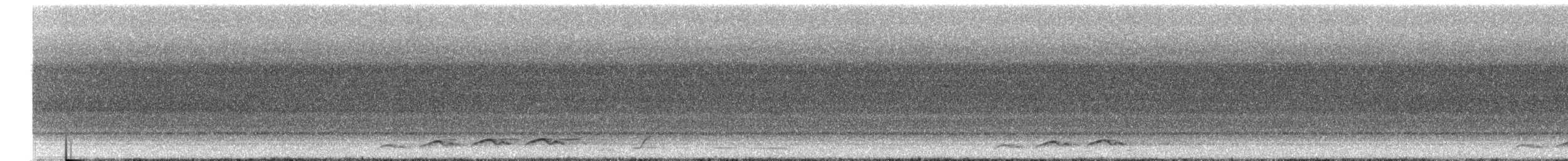 Pacific Koel - ML627846307