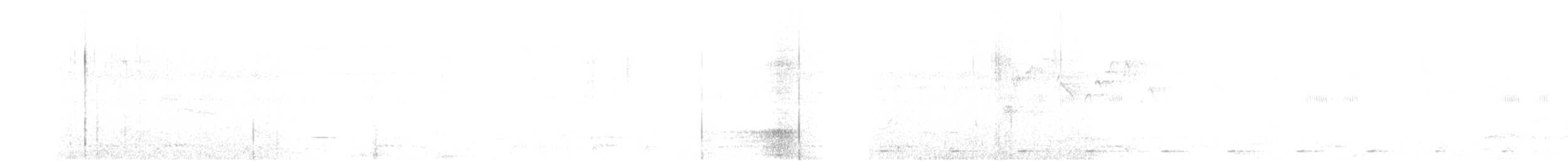 Malabar Barbeti - ML627851759