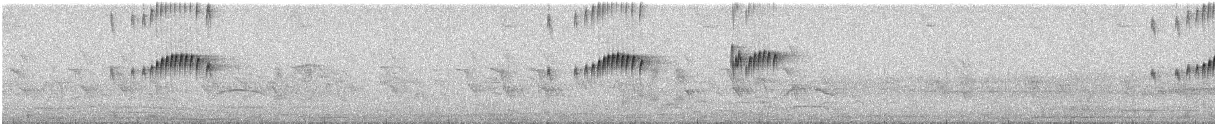 Tropical Kingbird - ML627874169