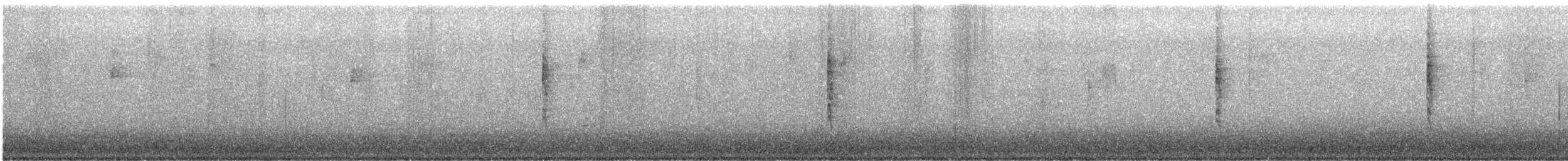 Wilson's Warbler - ML627882197