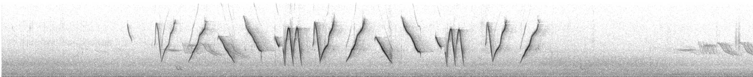 コバシマユシトド - ML627882778