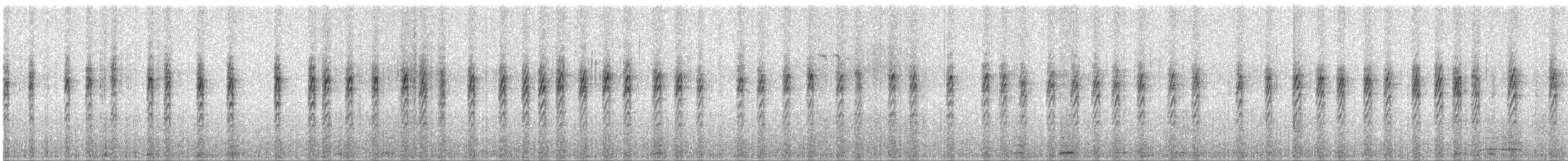 Striped Prinia - ML627887880