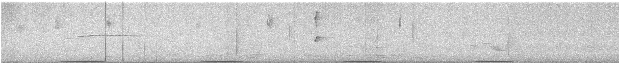 Common Bronzewing - ML627899207